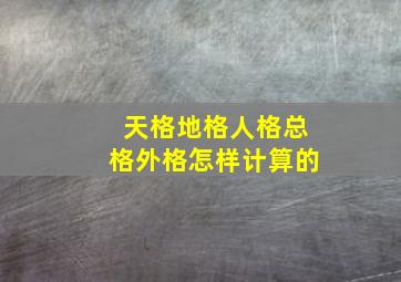 天格地格人格总格外格怎样计算的,天格人格地格外格总格组合吉数