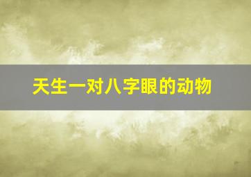 天生一对八字眼的动物,天生八字好富命的动物生肖