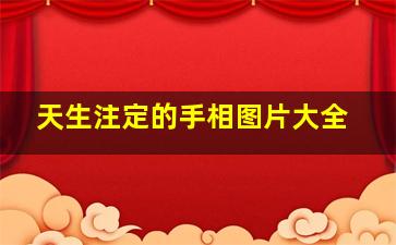 天生注定的手相图片大全,天生注定是什么意思