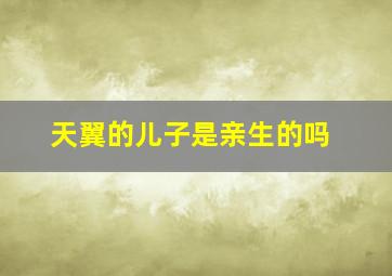 天翼的儿子是亲生的吗,天翼是谁扮演的