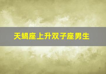 天蝎座上升双子座男生,天蝎上升双子的另一半是什么人