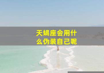 天蝎座会用什么伪装自己呢,最会暗藏心机