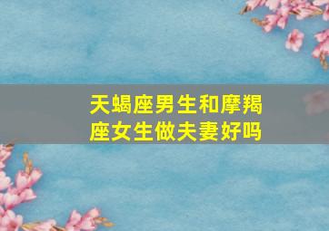 天蝎座男生和摩羯座女生做夫妻好吗