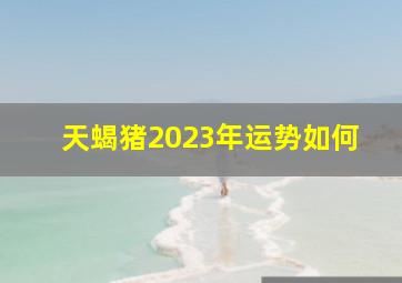 天蝎猪2023年运势如何,天蝎座2023年的全年运势最新