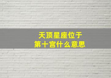 天顶星座位于第十宫什么意思,星盘天顶在第十宫