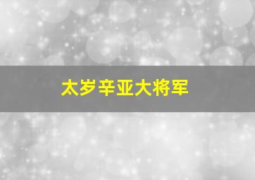 太岁辛亚大将军,丙辰年太岁辛亚大将军