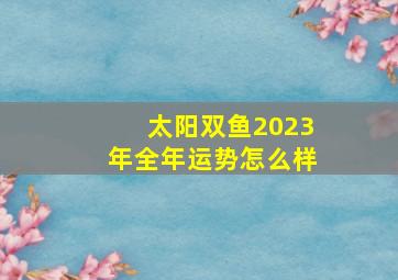 太阳双鱼2023年全年运势怎么样,双鱼座2023年的全年运势女