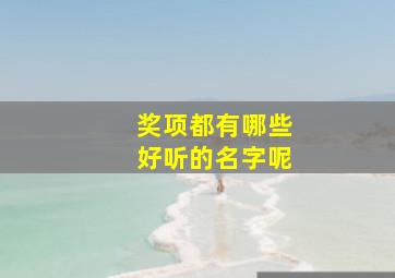 奖项都有哪些好听的名字呢,奖项都有哪些好听的名字呢英语