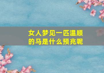 女人梦见一匹温顺的马是什么预兆呢,女人梦见马向我奔跑是什么意思