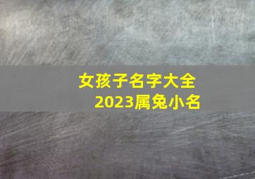 女孩子名字大全2023属兔小名,2023兔宝宝小名大全2023兔宝宝独一无二的好听乳名