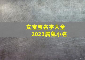 女宝宝名字大全2023属兔小名,2023年兔宝宝乳名大全好听顺口的宝宝小名