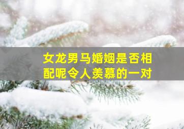 女龙男马婚姻是否相配呢令人羡慕的一对,属女龙的跟属马的相配吗