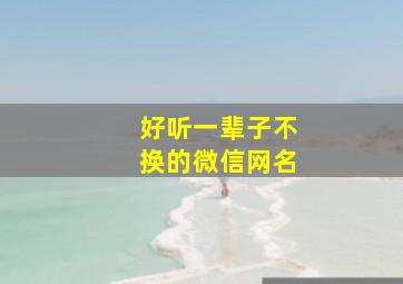 好听一辈子不换的微信网名,好听一辈子不换的微信网名大全