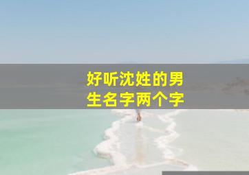 好听沈姓的男生名字两个字