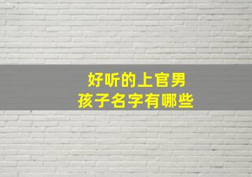 好听的上官男孩子名字有哪些,上官好听的名字男生