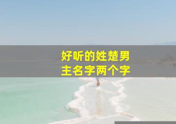 好听的姓楚男主名字两个字,好听的姓楚男主名字两个字霸气