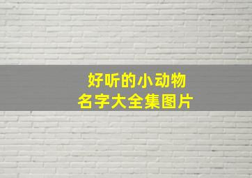 好听的小动物名字大全集图片,小动物的好听的名字