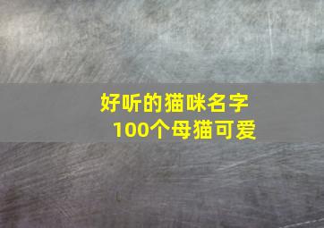 好听的猫咪名字100个母猫可爱,猫猫的好听的名字母猫