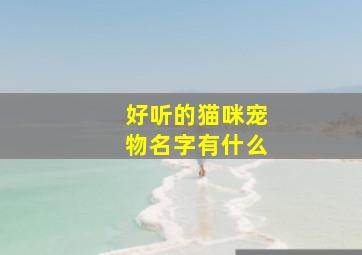 好听的猫咪宠物名字有什么,宠物猫名字 有创意