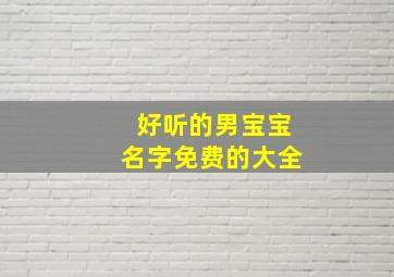 好听的男宝宝名字免费的大全