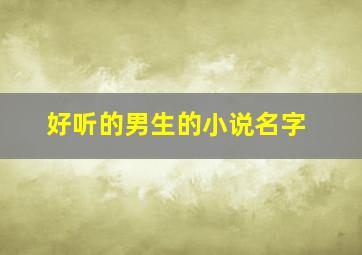 好听的男生的小说名字,好听的男生的小说名字大全