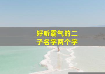 好听霸气的二子名字两个字