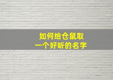 如何给仓鼠取一个好听的名字,如何给仓鼠起个好听的名字