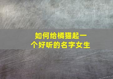 如何给橘猫起一个好听的名字女生,给橘猫取什么名字好