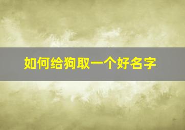 如何给狗取一个好名字,如何给狗取一个好名字呢