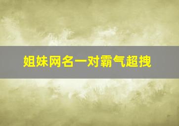 姐妹网名一对霸气超拽,网名