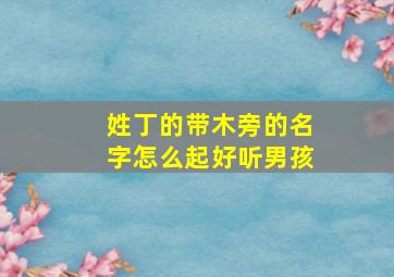 姓丁的带木旁的名字怎么起好听男孩,姓丁的带木旁的名字怎么起好听男孩