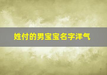 姓付的男宝宝名字洋气,付姓男孩取名字大全