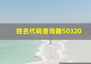 姓名代码查询器50320,姓名代码的姓名的代码查询