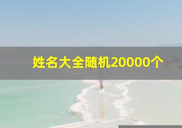 姓名大全随机20000个,10000个名字大全随机