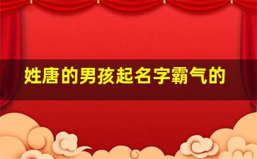 姓唐的男孩起名字霸气的,姓唐的男孩起什么名字好听