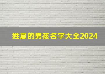 姓夏的男孩名字大全2024,姓夏的男孩名字大全古风