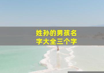 姓孙的男孩名字大全三个字,姓孙的男孩起名字大全2024年