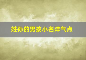 姓孙的男孩小名洋气点,姓孙的小男孩刚出生取什么名字好听