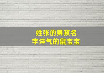 姓张的男孩名字洋气的鼠宝宝,张姓好听的男孩名字