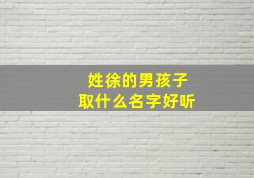 姓徐的男孩子取什么名字好听,姓徐的男孩子名字怎么取