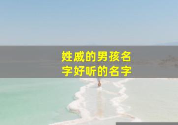 姓戚的男孩名字好听的名字