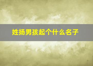 姓扬男孩起个什么名子,姓扬男孩起个什么名子好