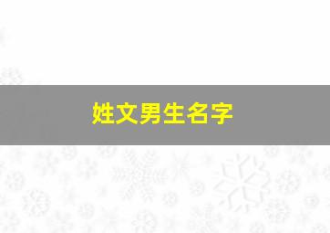 姓文男生名字,姓文的男孩起名字大全2024年