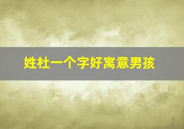 姓杜一个字好寓意男孩,姓杜男孩寓意好的名字