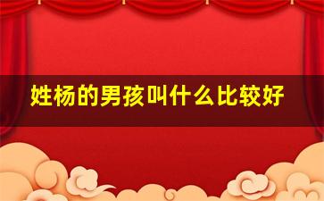 姓杨的男孩叫什么比较好,姓杨的男孩叫什么比较好听