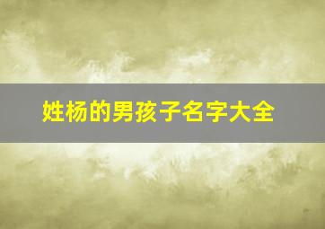 姓杨的男孩子名字大全