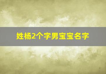 姓杨2个字男宝宝名字,姓杨男宝宝取名字两个字