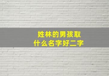 姓林的男孩取什么名字好二字,姓林的男孩取什么名字好二字大全