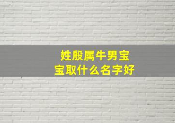 姓殷属牛男宝宝取什么名字好,姓殷牛宝宝起名