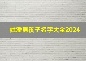 姓潘男孩子名字大全2024,姓潘男孩子名字大全